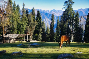 Paradisiacal Kashmir